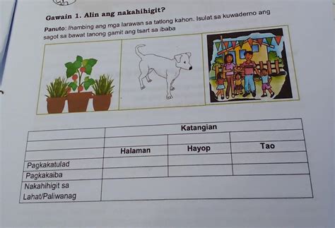 ano ang pagkakaiba ng hayop at tao brainly answer|ano ang pagkakaiba ng halaman hayop at tao .